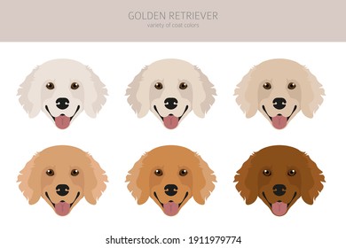 Perros recuperadores de oro con diferentes poses y colores de abrigo. Goldies adultos y juego de cachorros.  Ilustración del vector