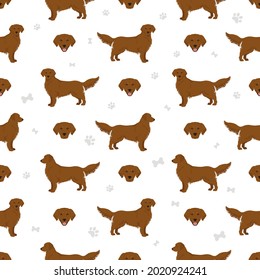 Golden retriever dogs in different poses and coat colors seamless pattern. Vector illustration