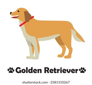 Golden retriever, flat design, simple illustration of a dog looking sideways