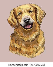 Golden Retriever Hand Drawing Dog Realistic Vector Isolated Illustration On Pink Background. Cute Funny Dog Looking Into The Camera. For Print, Design, T-shirt, Sublimation, Coloring, Poster, Card