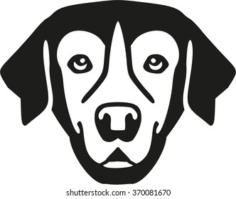 Golden retriever head