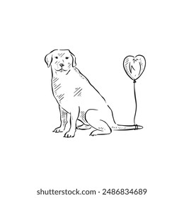 A golden retriever with a heart balloon attached to his tail. Drawn by hand in black and white and vectorised. Line drawing.