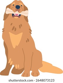 Golden retriever holding bone vector illustration