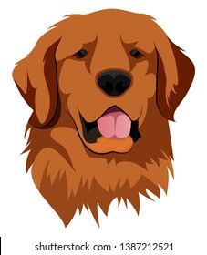 Golden Retriever illustration vector on white background