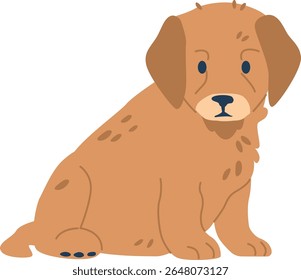 Golden retriever little puppy vector illustration