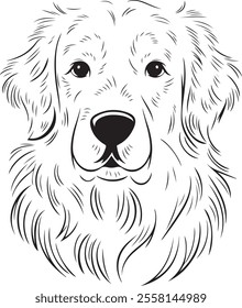 Golden Retriever Outline Vector Dog Silhouette Art  Pet Illustration, Golden Retriever Clipart, Animal Line Art  Dog Outline Drawing  Puppy Vector Design  Minimalist Dog