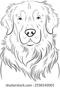 Golden Retriever Outline Vector Dog Silhouette Art  Pet Illustration, Golden Retriever Clipart, Animal Line Art  Dog Outline Drawing  Puppy Vector Design  Minimalist Dog