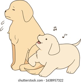 golden retriever - parent and too cheerful puppy