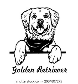 Golden Retriever Peeking Dog - head isolated on white. Dog clipart. Young retriever vector illustration file for cutting. Black dog animals svg