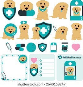 Golden Retriever Pet Health and Insurance