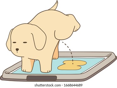 Golden Retriever - Puppy With Dog Pee