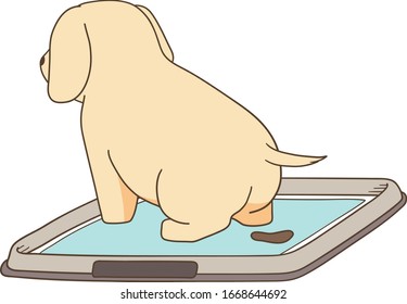 golden retriever - puppy with dog poop