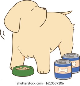 golden retriever puppy - hate canned food