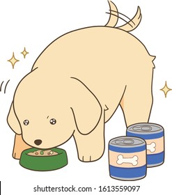 golden retriever puppy - like canned food