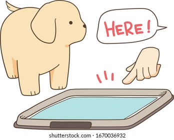 golden retriever puppy and pet toilet