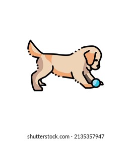 Golden retriever puppy playing ball color line icon. Pictogram for web page, mobile app, promo.