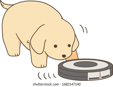golden retriever puppy with robot vacuum cleaner