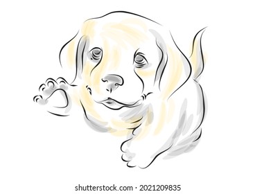 golden retriever puppy vector illustration on white background

