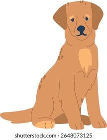 Golden retriever puppy vector illustration