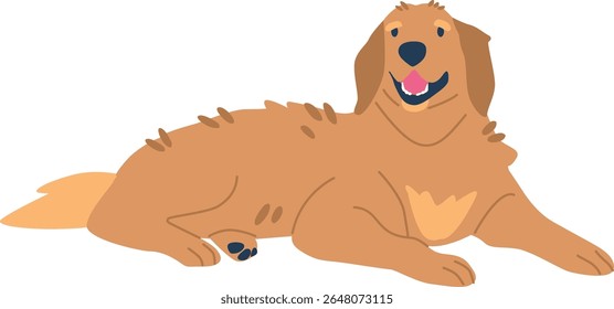 Golden retriever resting vector illustration