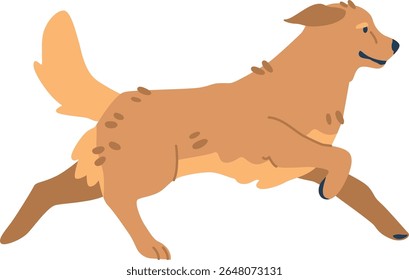 Golden retriever running fast vector illustration