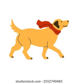 Golden retriever running with a red scarf in a playful atmosphere