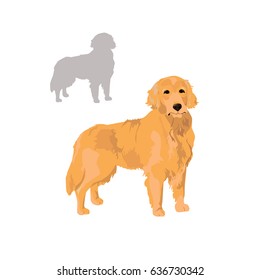 Golden retriever and silhouette isolated on white background. Labrador pet for your design. Yellow dog as a symbol of year 2018.