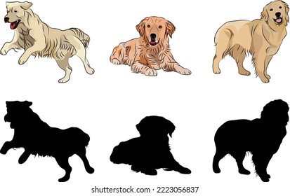 Golden Retriever silhouettes  Running  jumping retriever  Cute walking dogs characters in various poses  design for print  cute cartoon vector set  in different poses  One color design  Big large dog 