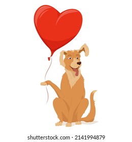 A golden retriever sits with a raised paw and ear. A pet, red heart, balloon, valentine's day.  Vector illustration, cartoon, complex flat, isolated on white background