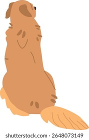 Golden retriever sitting back vector illustration