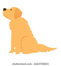 Golden retriever is sitting and raising its head, looking up