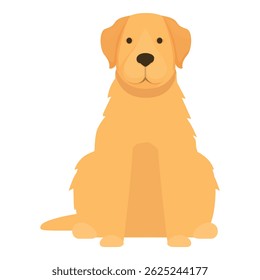 Golden retriever sitting and waiting patiently