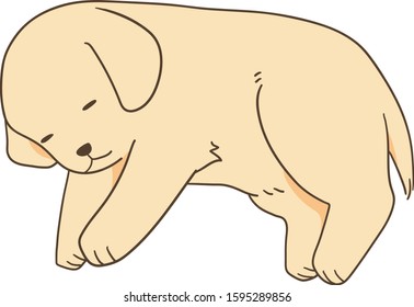 golden retriever - sleep (sideways)