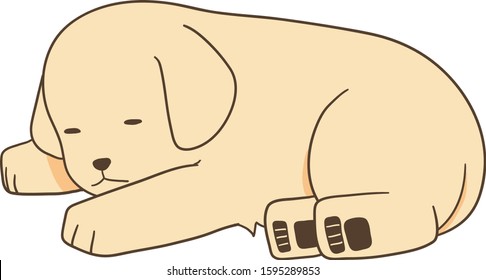 golden retriever - sleep (sideways)2