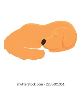 Golden retriever sleeping icon cartoon vector. Puppy dog. Animal pet