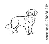 Golden Retriever Standing Side Profile Line Art Vector Illustration