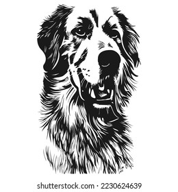 golden retriever vector art hand drawn vector black and white
