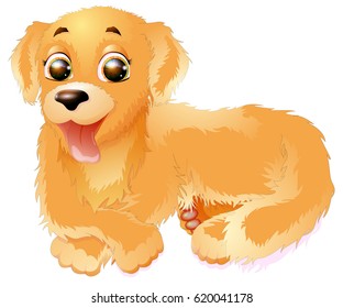 Golden Retriever vector illustration, isolated on white background.