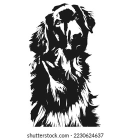 golden retriever vector image hand drawn vector black and white
