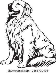 Golden Retriever vector silhouette illustration