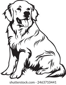 Golden Retriever vector silhouette illustration