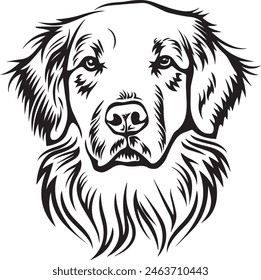 Golden Retriever vector silhouette illustration