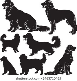 Golden Retriever vector silhouette illustration