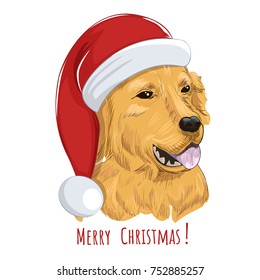 Golden Retriever wearing Christmas hat and panting. Holiday dog with Santa hat isolated on white background. Yellow dog for greeting card.