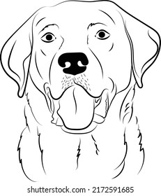 Golden Retriver. Labrador Dog Portrait. Vector Illustration