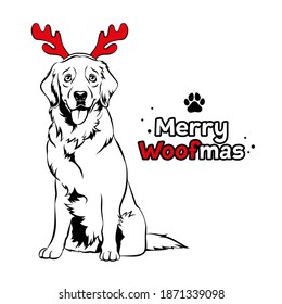 Golden retriver with red reindeer antlers. Christmas Labrador dog portrait. Merry woofmas text. Vector illustration