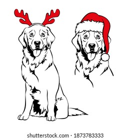 Golden retriver with red reindeer antlers and Santa hat. Christmas Labrador dog portrait. Vector illustration