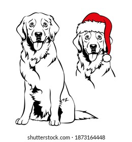 Golden retriver and Santa hat  Christmas Labrador dog portrait  Vector illustration