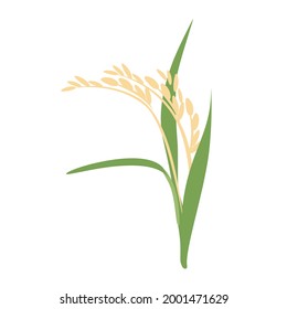 Golden rice or wheat ears design element. Agriculture grain. Spikelets of rice icon