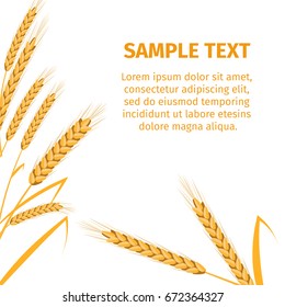 Golden ripe bread spikes isolated on white background and orange sample text that can be replaced vector illustration of poster billet.